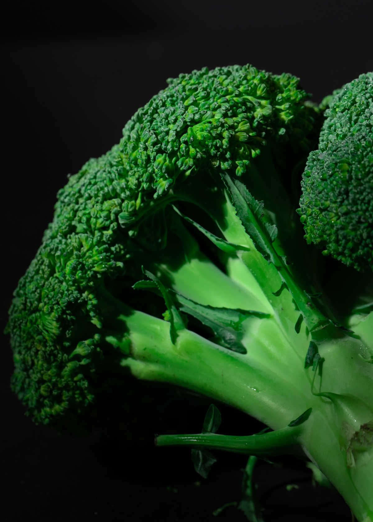<img src="Feature Image_Broccoli.jpg" alt=" Stir Fry Broccoli">
