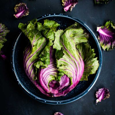 How To Dry Lettuce & Make Your Lettuce Last Twice As Long