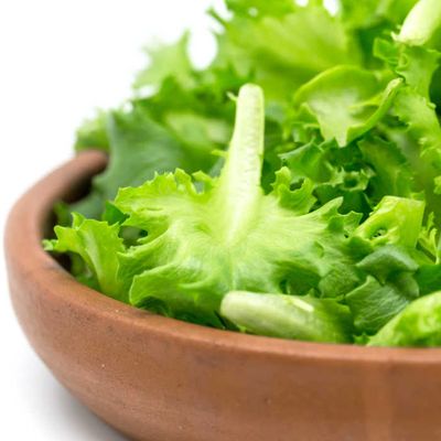 Tips On How To Keep Lettuce Fresh As A Daisy & Last Longer
