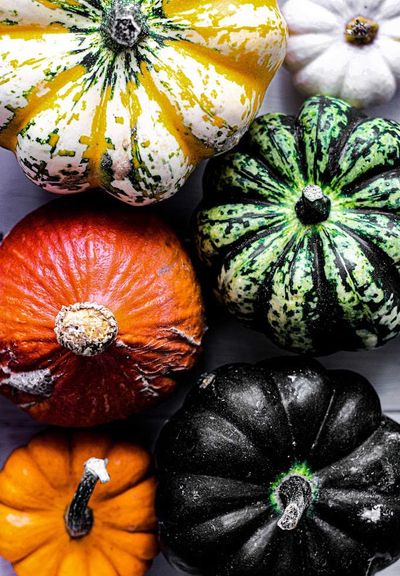 3 Perfect Acorn Squash Recipes... That Nobody Asked For!?