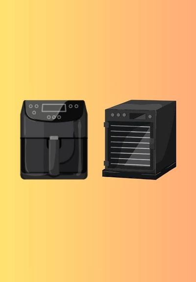 Can An Air Fryer Be Used As A Dehydrator? Your Favorite Snacks Gadget