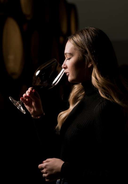 How To Drink Wine And Savor Every Sip Like A Pro: Tips On Selecting And Pairing Wines